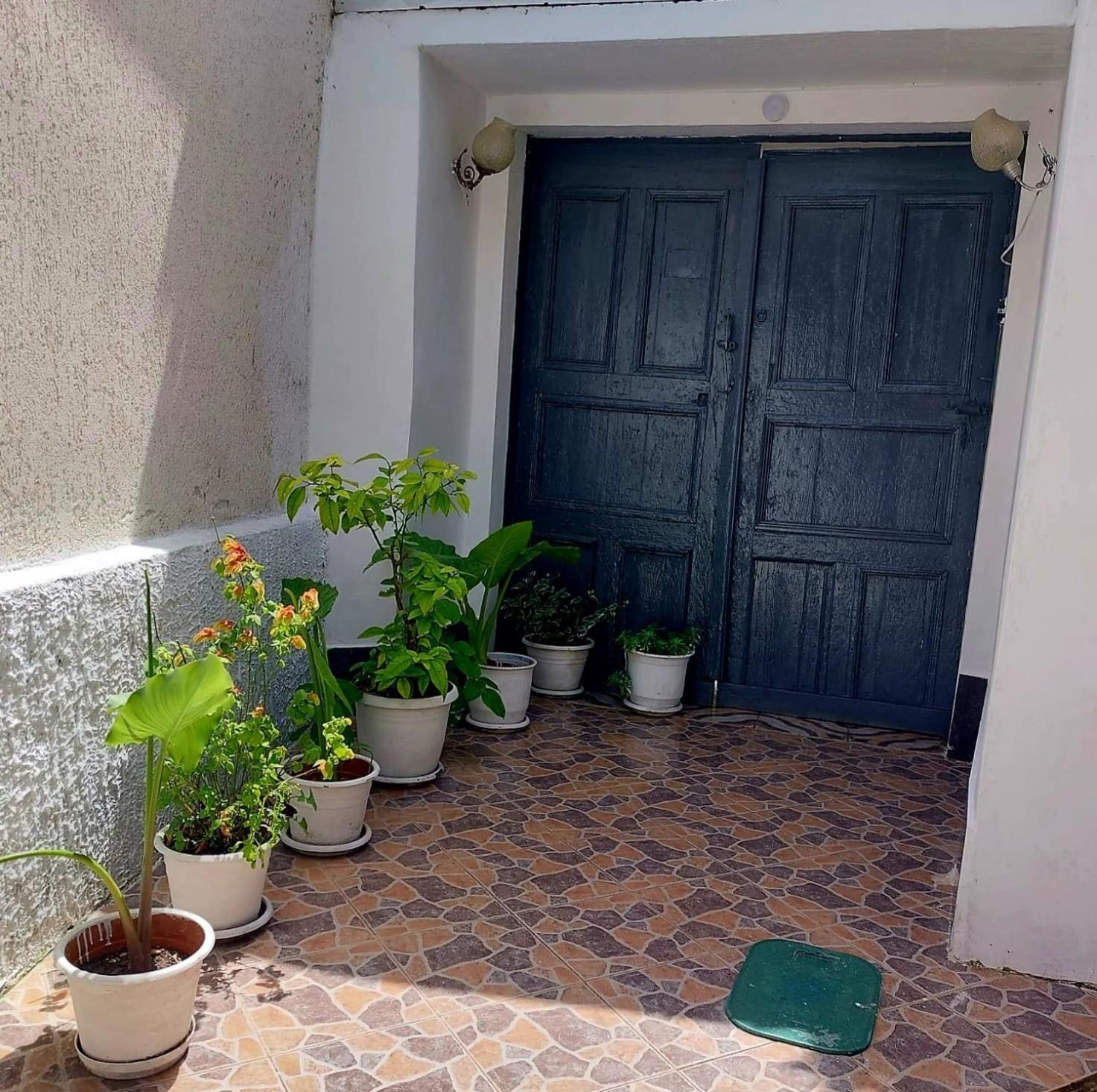 Guest House Flowers Μπεράτ Εξωτερικό φωτογραφία