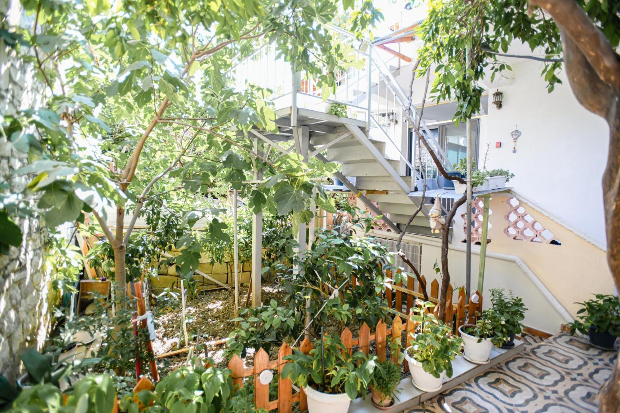 Guest House Flowers Μπεράτ Εξωτερικό φωτογραφία