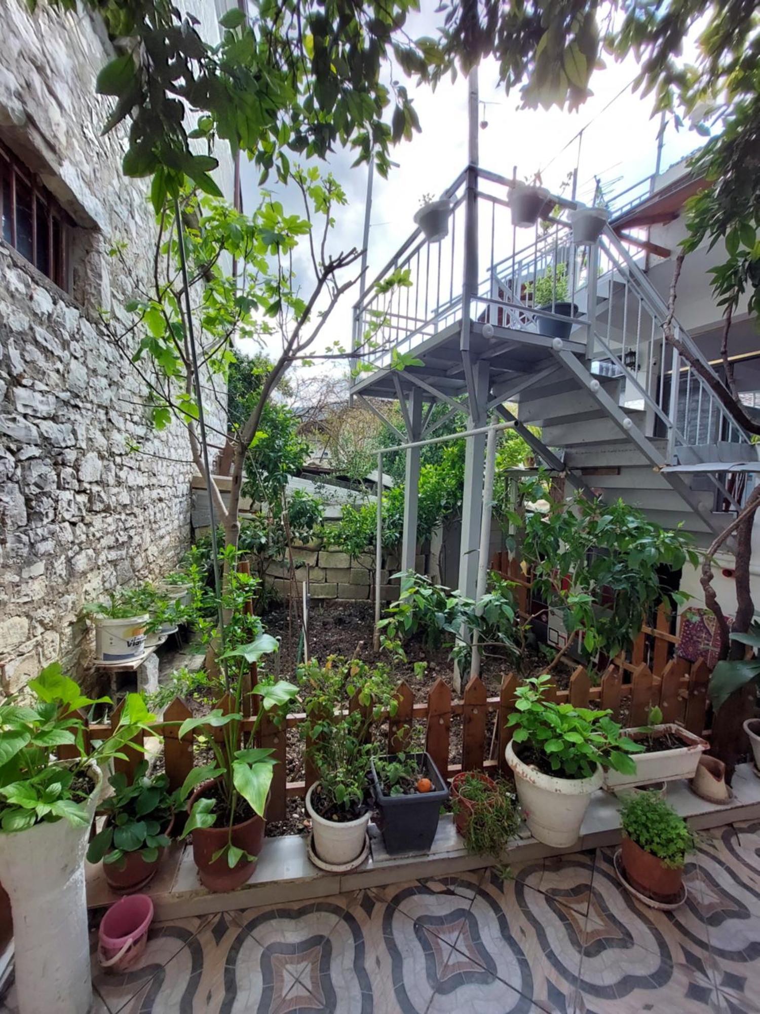 Guest House Flowers Μπεράτ Εξωτερικό φωτογραφία
